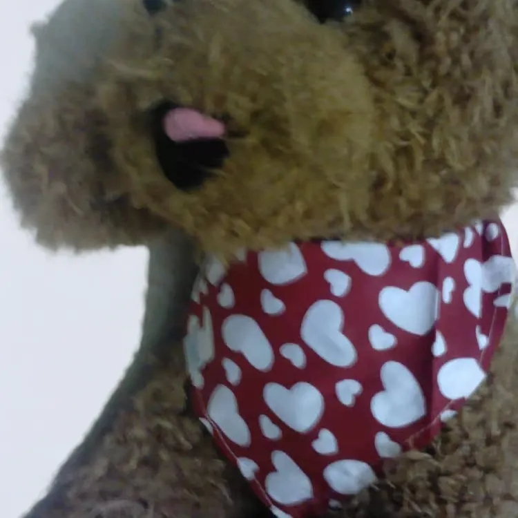 猫猫宠物口水巾狗狗泰迪三角巾围巾幼犬围脖拉布拉多围嘴领巾围兜