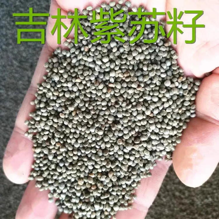 新货新紫苏籽东北紫苏子籽深灰色黑苏子紫苏籽榨油机原料当1斤包