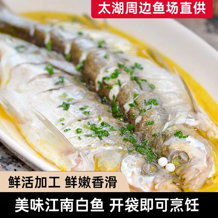 宠粉江南白鱼免洗免杀大白刁400-500克/条鲜活冷冻美味