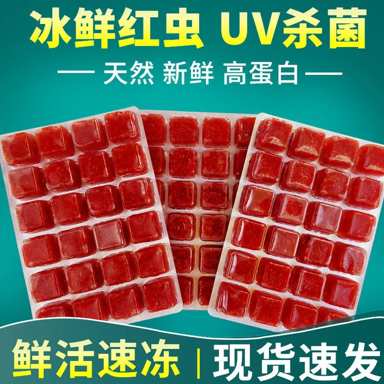 冰鲜红虫红血虫鱼食丰年虾红线虫冷水热带鱼营养高蛋白红线虫新鲜
