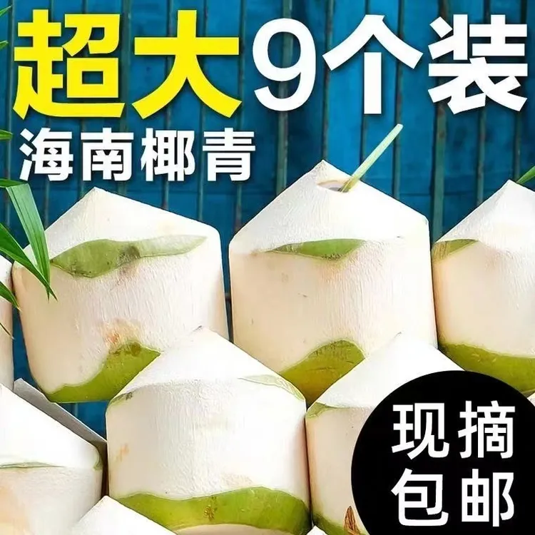 海南天然特产正宗椰青9个装（送开椰器和吸管）孕妇小孩新鲜水果