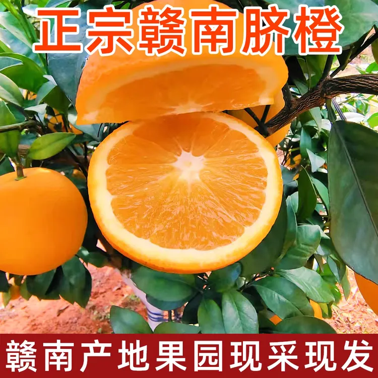 京东包邮正宗江西赣南脐橙新鲜水果5斤10斤产地直发