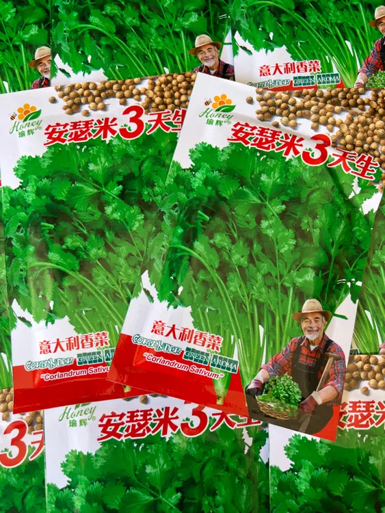 安瑟米香菜种子40克拍一发二