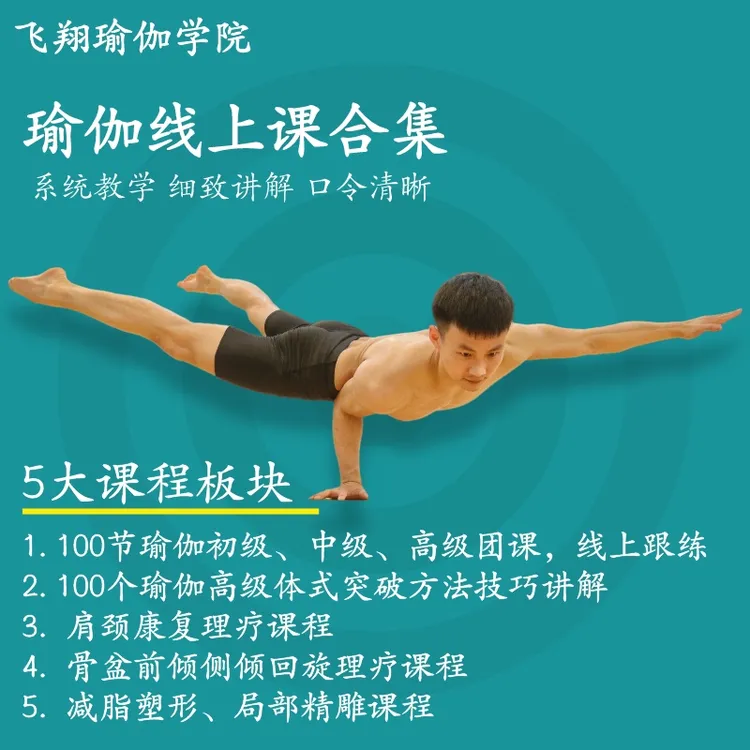飞翔瑜伽线上课程合集 健身（体式突破、人体塑形、团课、理疗）