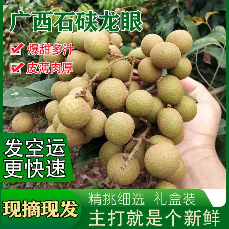 丹松拾忆【顺丰空运】新鲜石硖龙眼广西平南老树脆甜龙眼桂圆