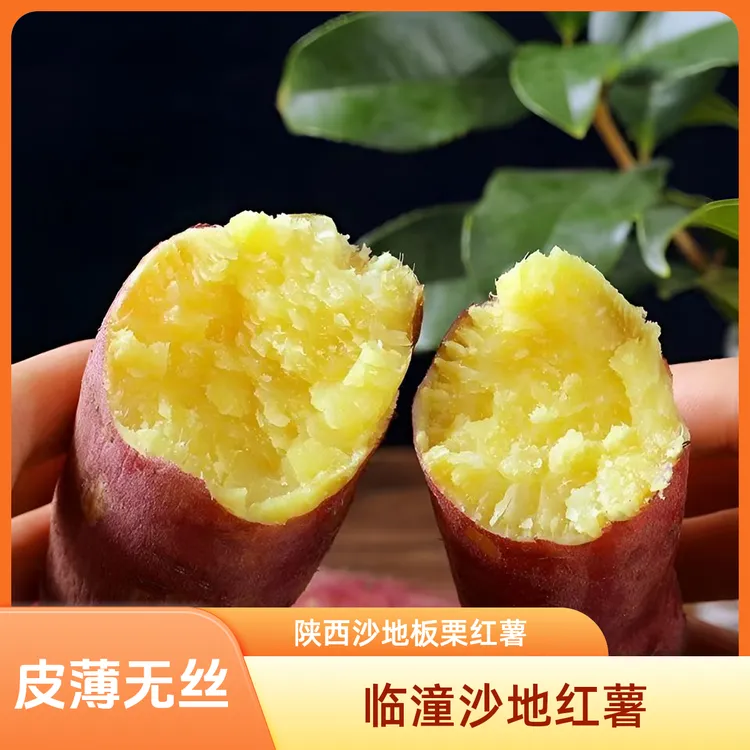 陕西沙地板栗红薯农家自种临潼沙地红薯美味食用