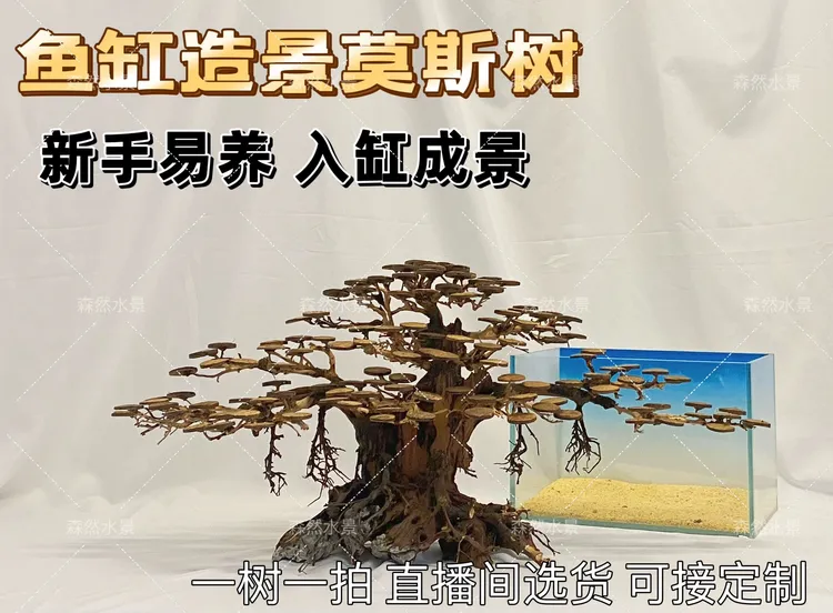 莫斯树造景生命之树榕树鱼缸沉木成品骨架制作全尺寸订做一树一拍