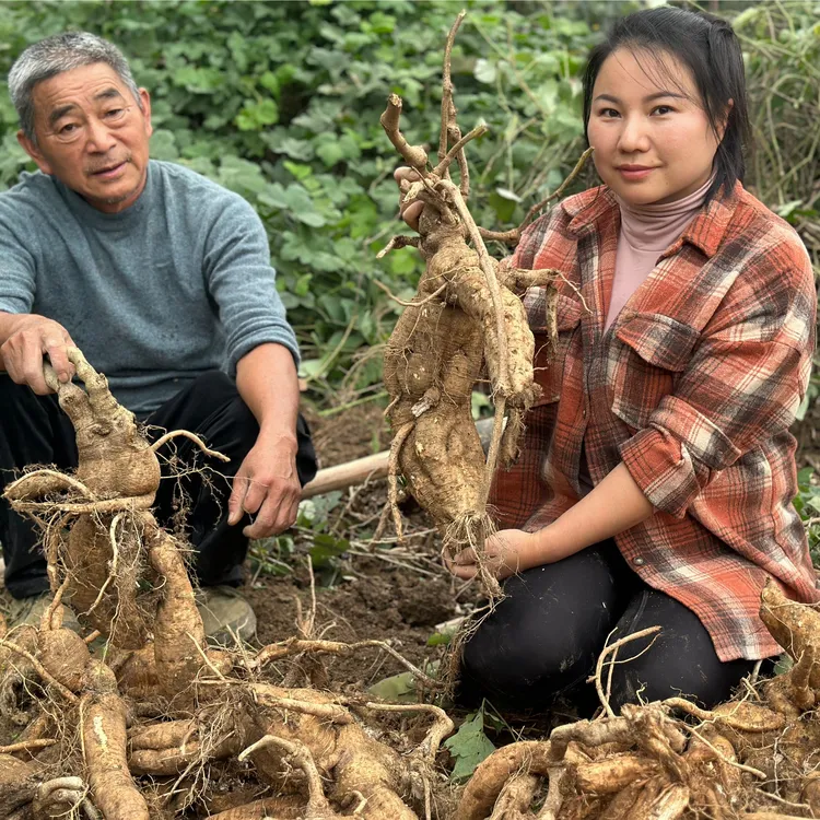 农家手工制作野生柴葛根粉深山特产