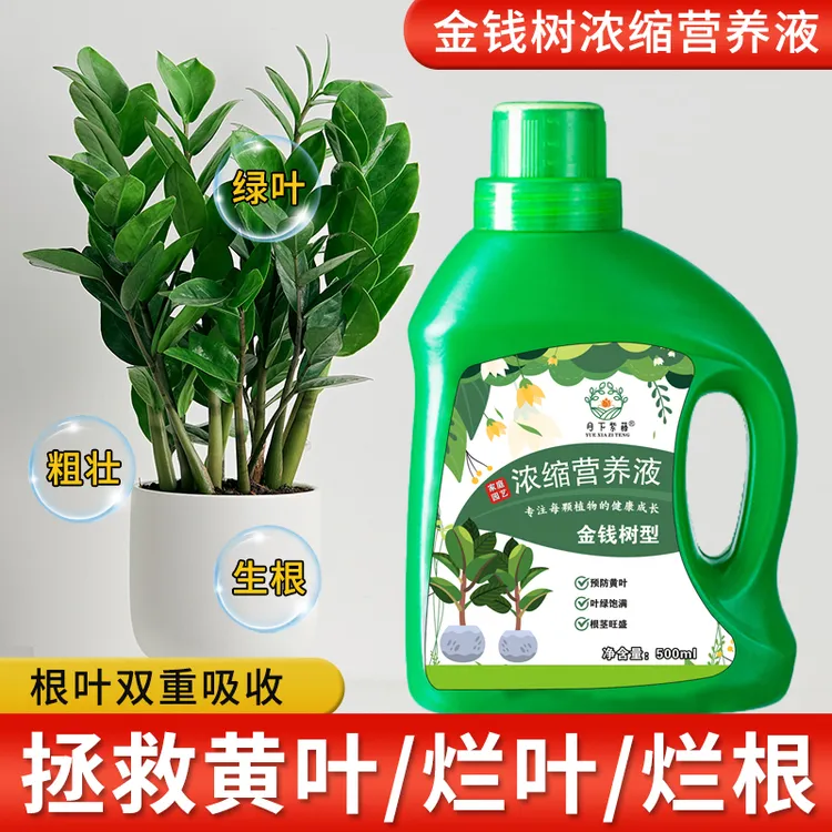 金钱树肥料专用肥营养液植物通用型家用室内盆栽养花发财树防黄叶