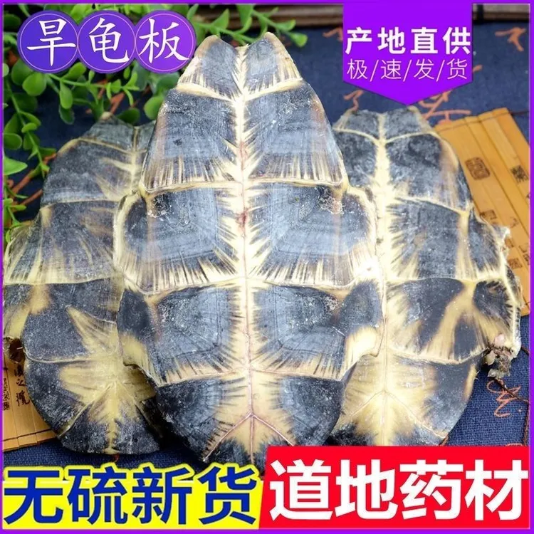 腹甲底板龟板旱龟板龟甲正品可熬胶龟壳生龟板龟板泡酒滋补原料