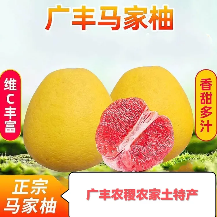江西农稷农家正宗广丰马家柚红心柚子新鲜红心蜜柚包邮