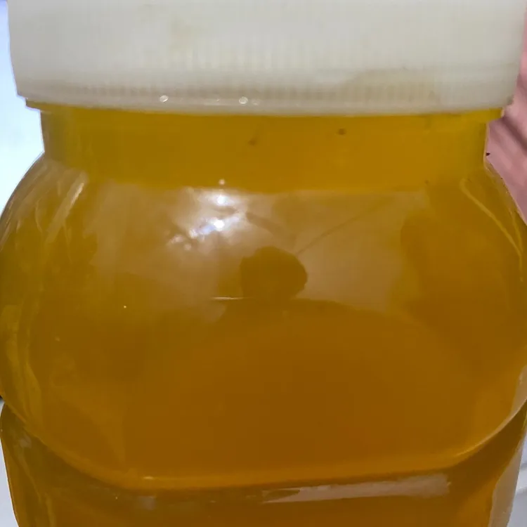 好物橙分享正宗大排蜂纯野生大排蜂结晶蜂蜜一市斤食用