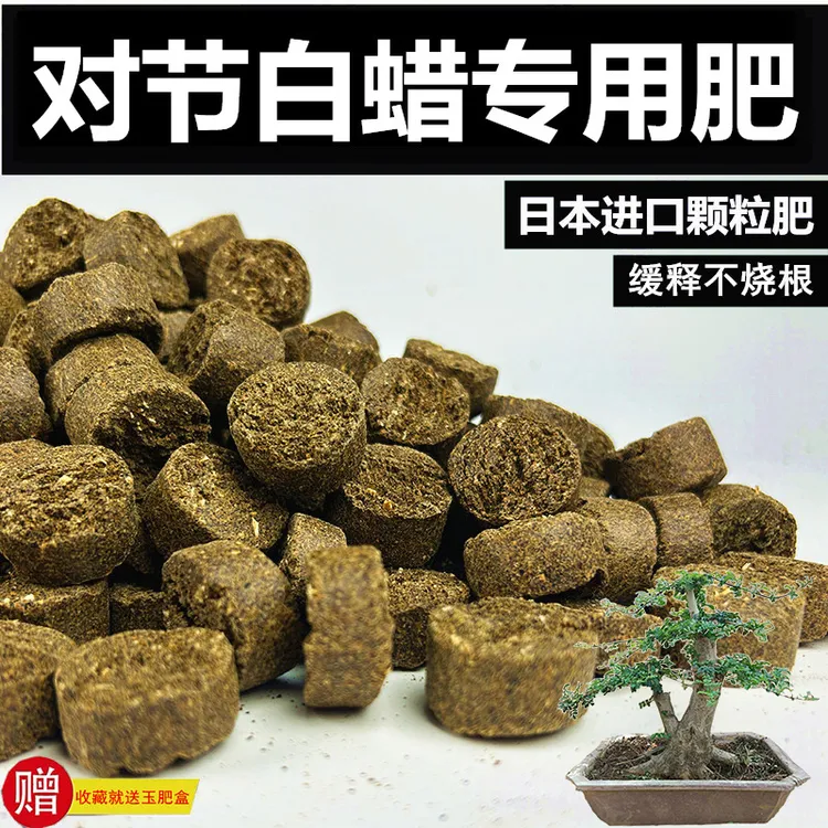 对节白蜡专用肥长效有机缓释肥日本原装进口肥花卉专用玉肥盆景肥