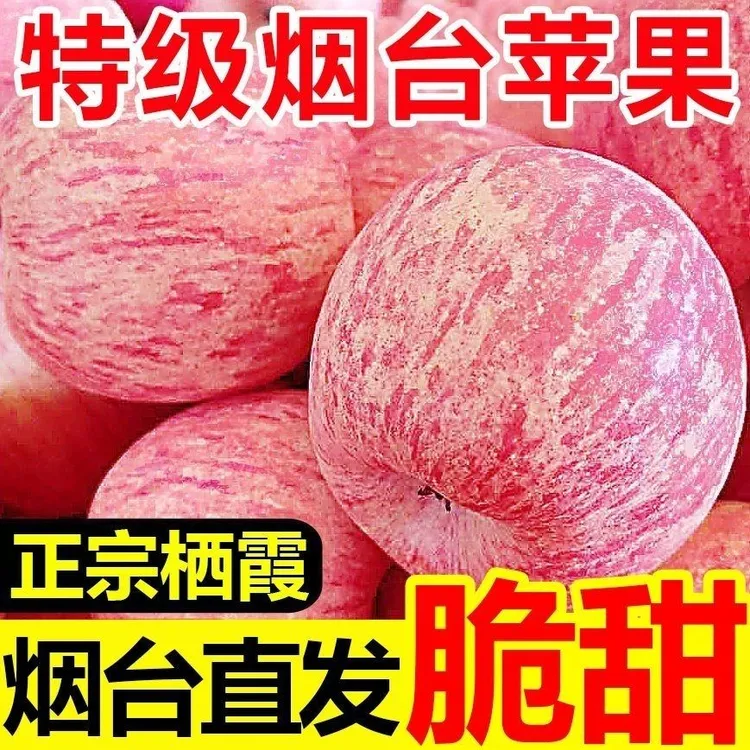 【脆甜多汁】山东烟台栖霞红富士苹果水果新鲜脆甜不打蜡
