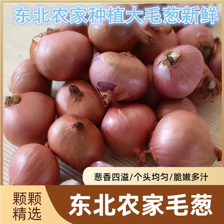 红毛葱头 东北特产 生吃蘸酱炒菜 包邮