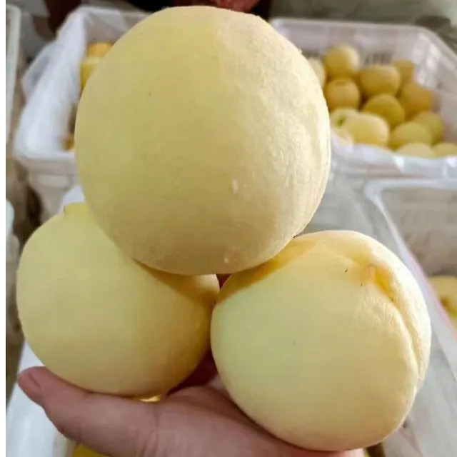 冬桃 丑桃白桃晚秋蜜桃果园脆桃红心蜜桃果园现摘现发全国包邮