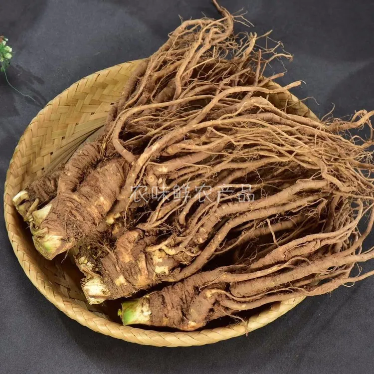 四川新鲜甜当归1斤起多规格 现挖现发 菜当归 煲汤炖品辅料农味鲜