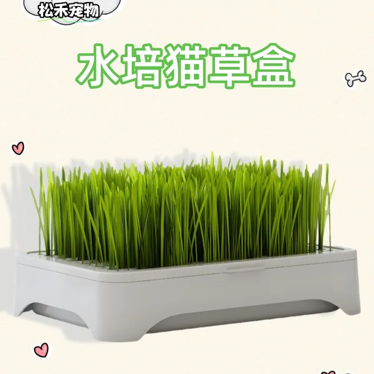 新款网红猫草水培盒套装即食猫零食天然去毛球化毛猫草盆宠物用品