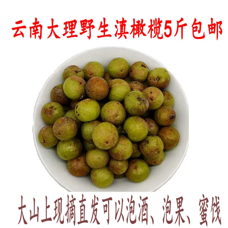 野生云南滇橄榄余甘果油甘子水果回甘大理高山蜜饯泡酒材料新鲜现