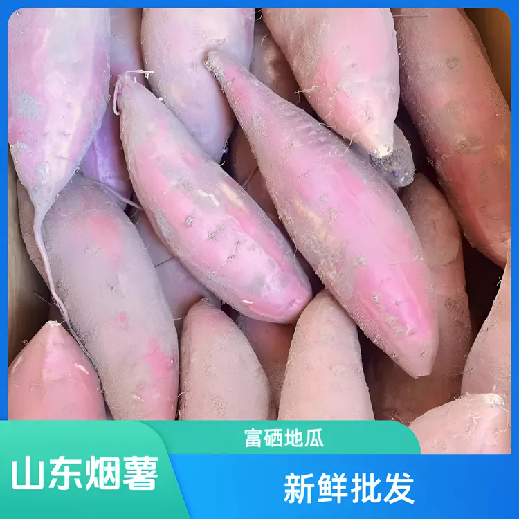 山东烟薯大果【100斤】烤块批发烟薯25号烤蜜薯富硒地瓜烤山芋红薯