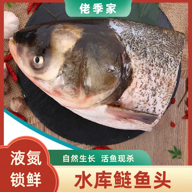 原生态养殖活鱼现杀水库鲜嫩鲢鱼头500g-600g/ 4个顺丰包邮