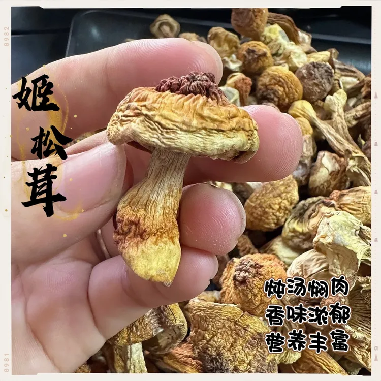 云南姬松茸无硫精选云南山货特产炖汤食材250g包邮