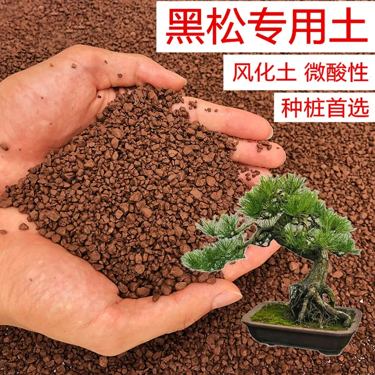 黑松专用土松树土营养土弱酸性风化土红土天然赤玉土盆景土种植土