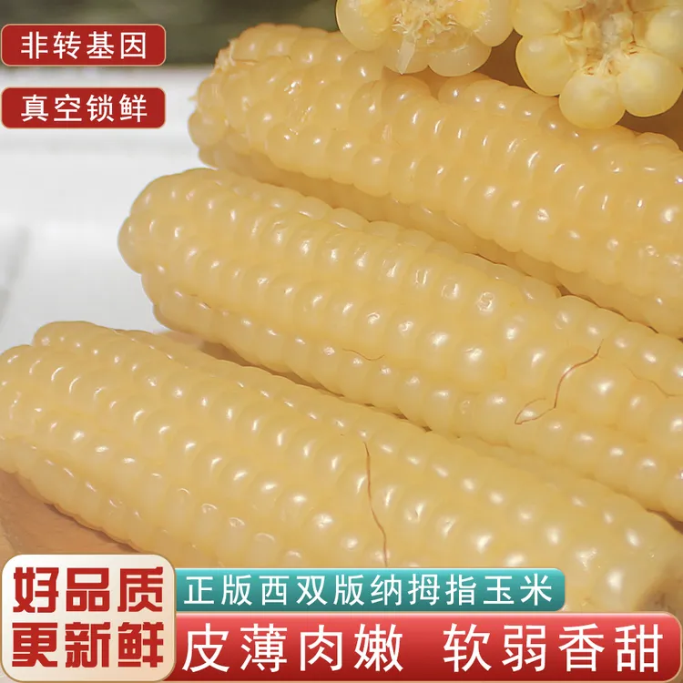 云南西双版纳手指玉米拇指小玉米真空包装香糯新鲜低脂加热
