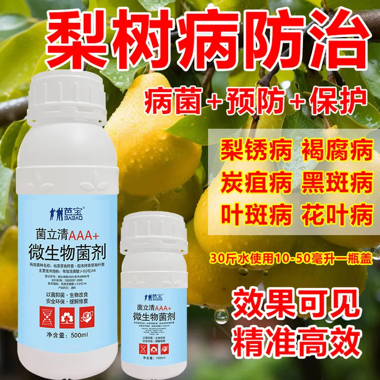 正品农用果园梨树病菌清梨锈炭疽干腐黑斑白粉穿孔梨树病菌清