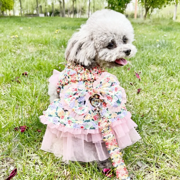 （巴仔原创）夏季时尚透气泰迪博美比熊雪纳瑞牵引一体仙女裙