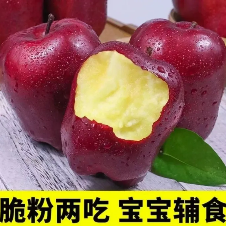 甘肃天水花牛苹果5-9斤当季水果脆粉两吃红蛇果新鲜整箱包邮