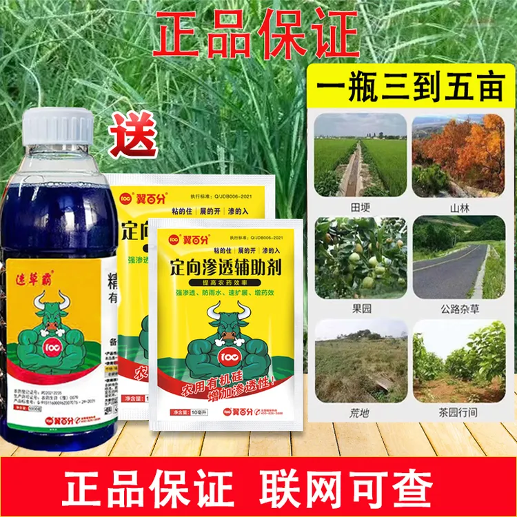 翼百分速草霸高浓缩除草剂抗性牛筋草小飞蓬果园茶园柑橘园正品