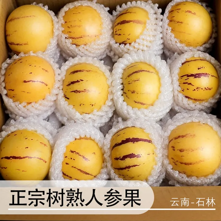 【真·树上熟】正宗云南石林人参果人生果当季热卖新鲜水果产地直发商品图