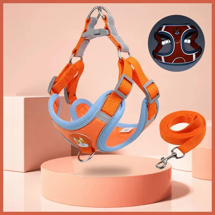 网红背心式狗狗牵引绳小型犬博美泰迪比熊胸背带幼犬遛狗绳狗链子