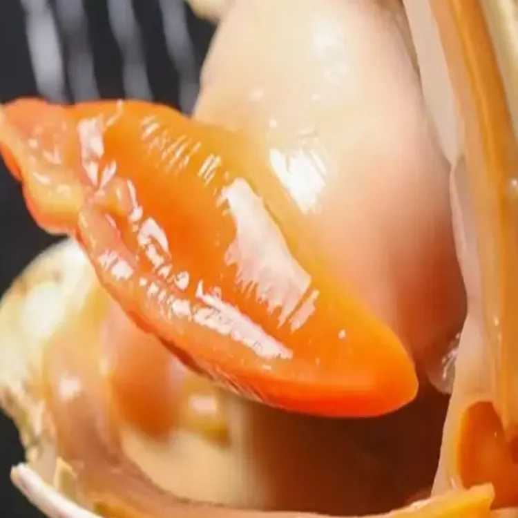 超大黄金贝大蛤蜊一斤2-6个左右鲜活保鲜发货链接同款顺丰冷链