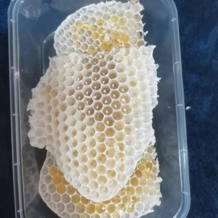 天然蜂巢胚(无巢础） 蜂窝蜂巢蜜 蜂房 唇膏DIY 违规建筑蜂窝原蜡