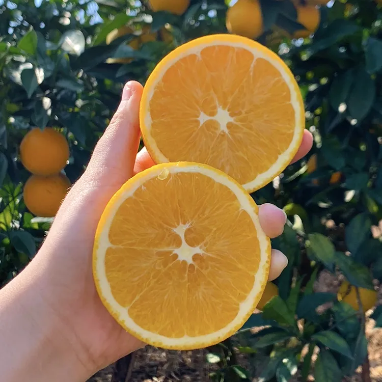 【顺丰包邮】正宗江西赣南脐橙新鲜现摘寻乌产地直发当季好吃水果