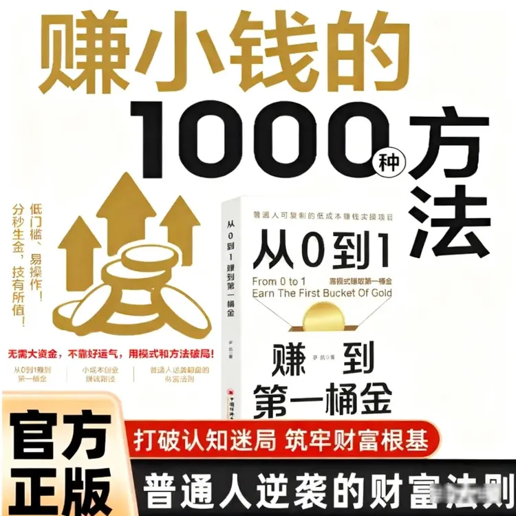 赚小钱的1000种方法 从0到1赚到第一桶金技能变现教你把钱赚到BX