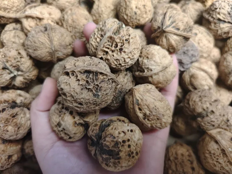云南特产老树薄皮核桃不漂白无泡药孕妇坚果零食百草味