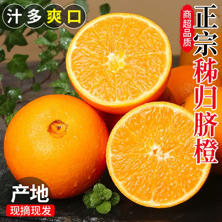 纽荷尔脐橙产地直发甜蜜当季整箱新鲜水果橙子果园现摘现发