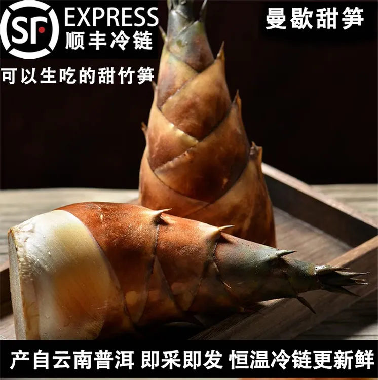 【励师傅专属】云南曼歇甜笋现摘现发新鲜甜龙竹笋可生吃的甜笋单果