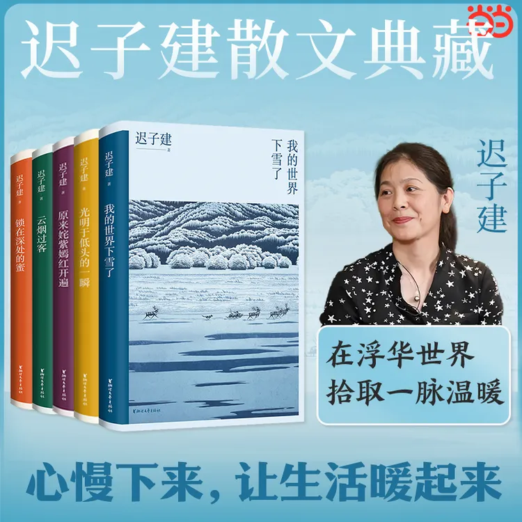 【热销书】迟子建散文典藏我的世界下雪了云烟过客原来姹紫嫣红开遍