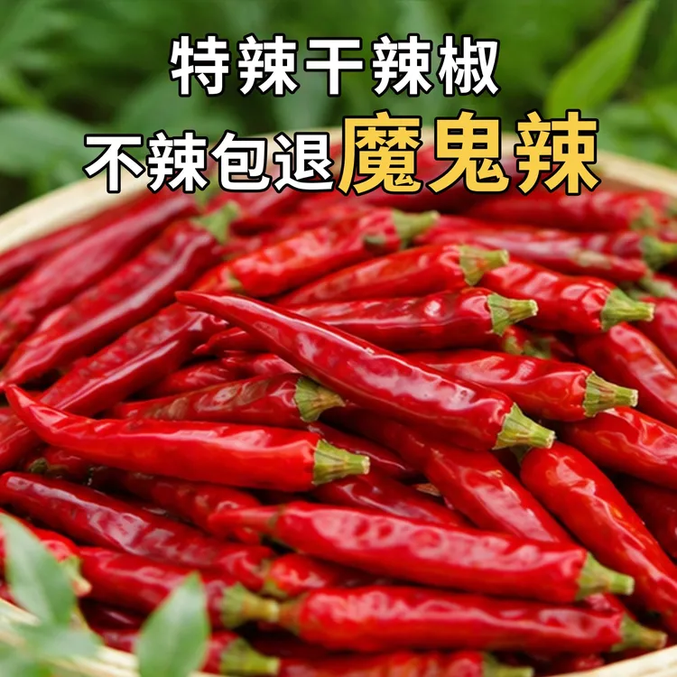 【精品】特辣魔鬼新鲜椒香辣红辣椒自然风干干辣椒人工挑选支持试吃