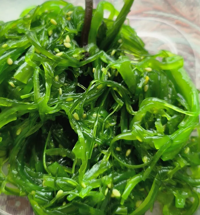 大连本地凉拌裙带菜麻辣鲜蛤芥末章鱼螺片日料夏天必备小海鲜包邮