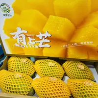攀枝花凯特芒果净8斤
