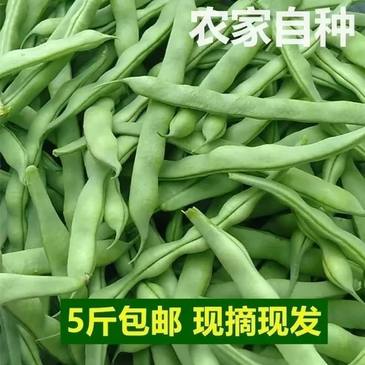 贵州农家四季豆通货现摘扁豆刀豆四季豆青豆角芸豆无筋豆新鲜蔬菜