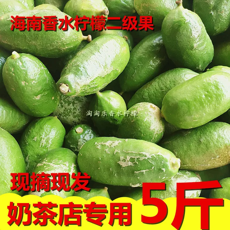 东坊甄选海南香水柠檬无籽柠檬二级果奶茶店专用现摘现发5斤装包