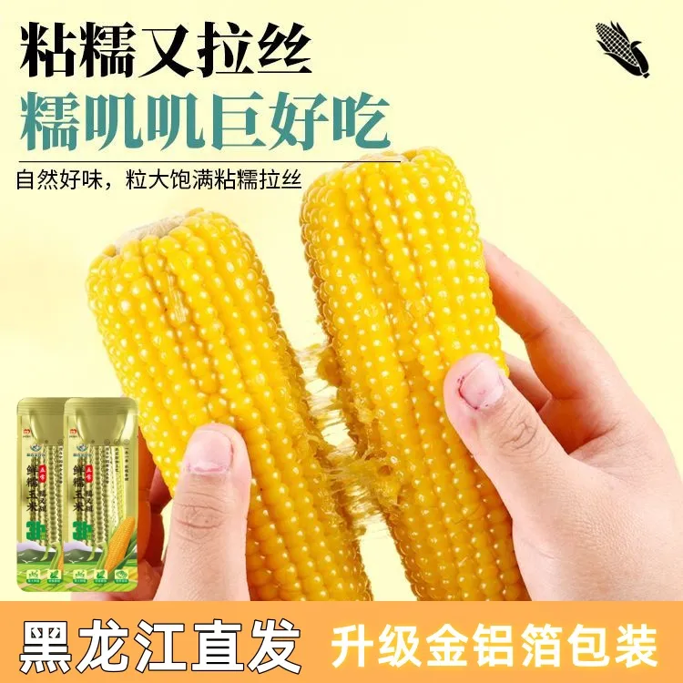 【试吃2根】东北2025新季-黄糯玉米260g-320g*10根香甜软糯
