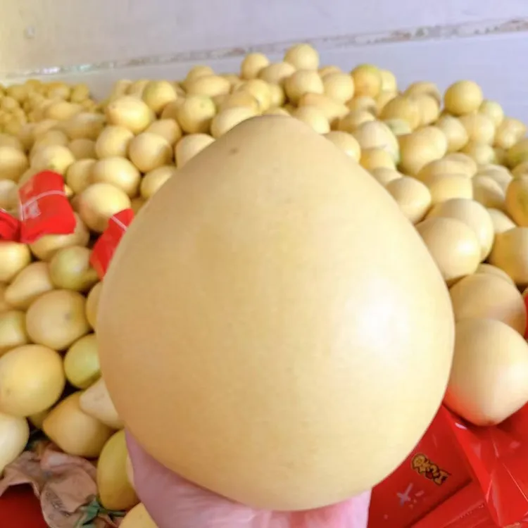 福建平和红心蜜柚老树头茬新鲜水果薄皮多汁清甜可口柚子红柚