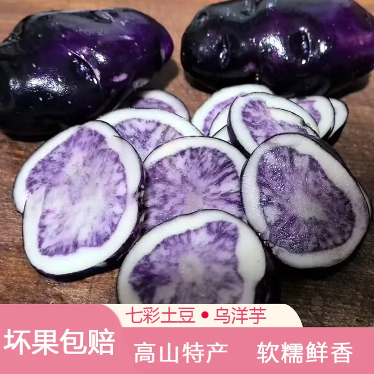 贵州乌洋芋高山转心乌紫洋芋紫色土豆七彩土豆紫土豆马铃薯小土豆